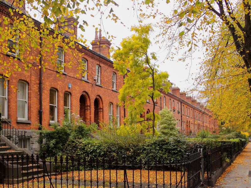 Autumn leaves on historic brick buildings.