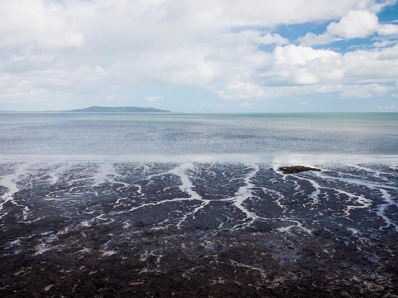 Tidal flats under a cloudy sky.